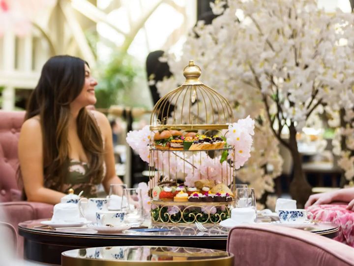 Cherry Blossom Season | Waldorf Astoria Washington DC